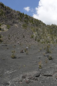 Landslide and rockfall into Kilauea Caldera