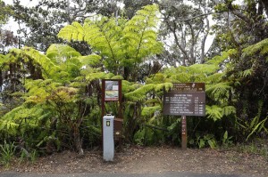 Trailhead sign, towards Halema'uma'u trail, Hawai'i Volcanoes National Park