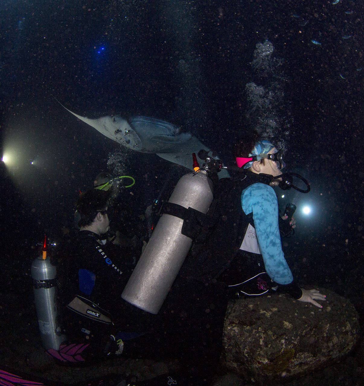 Don't blow bubbles at the Mantas! - Kailua-Kona, Big Island of Hawai'i, USA