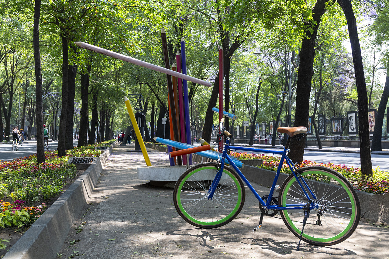 Bosque de Chapultepec by Bike, Mexico City