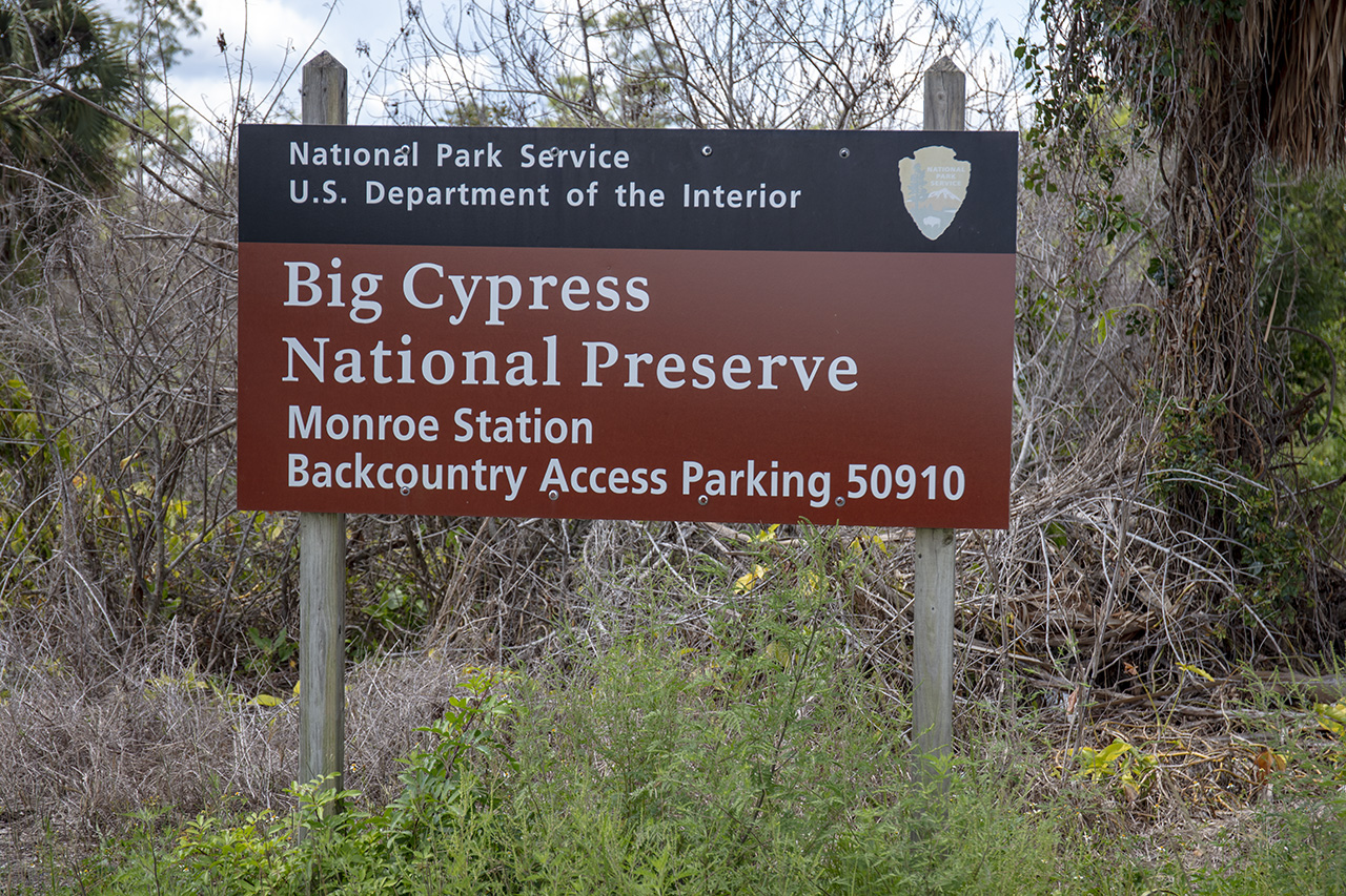Big Cypress National Preserve, Florida, USA