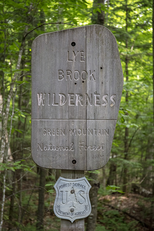 Lye Brook Wilderness, Green Mountain National Forest, Vermont