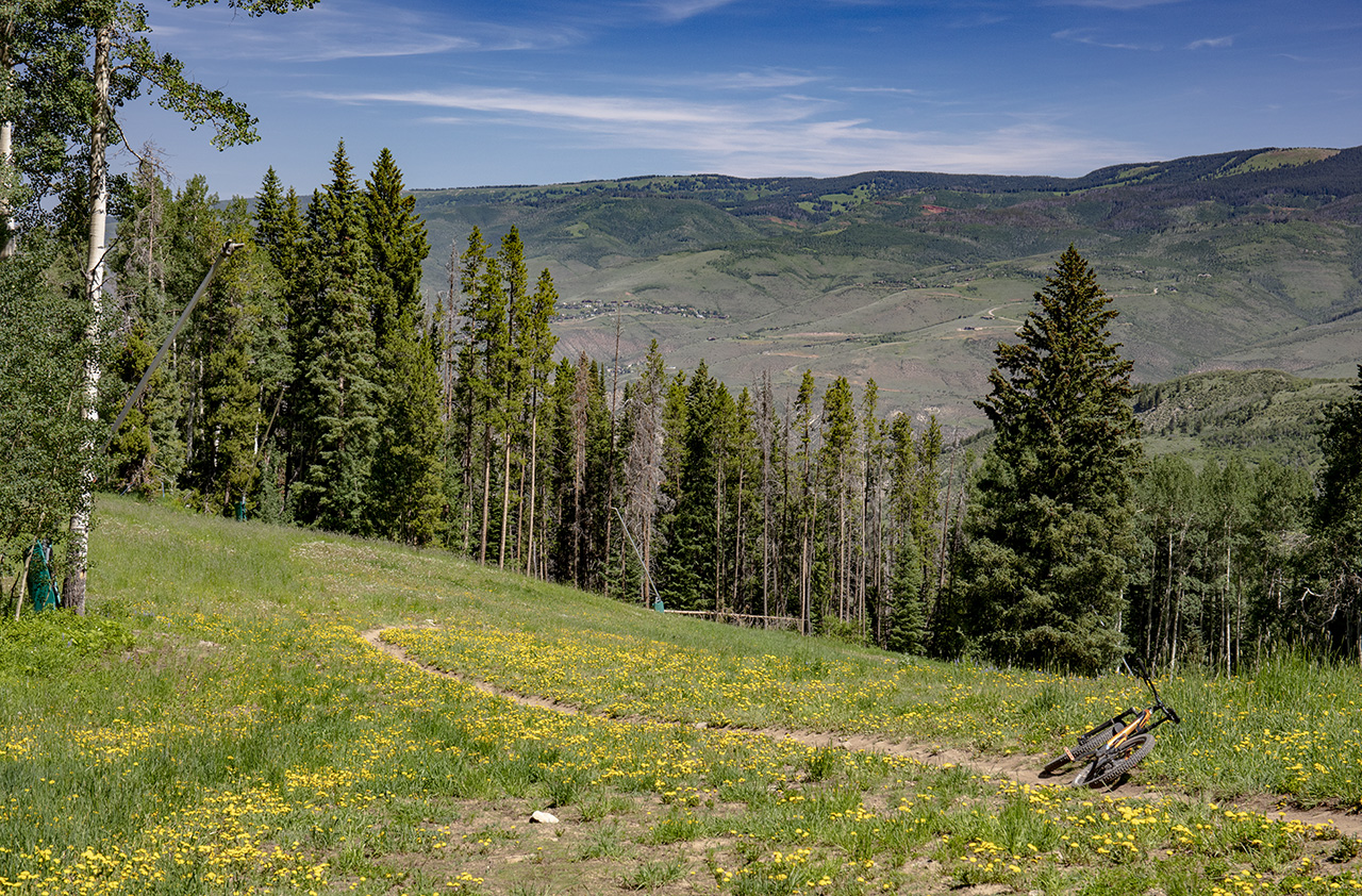 downhill bike, Beaver Creek, Colorado, USA