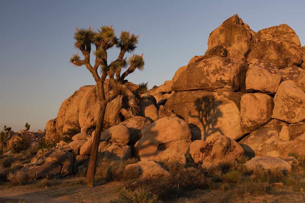 Chunk of Rocks at Joshua Tree National Park