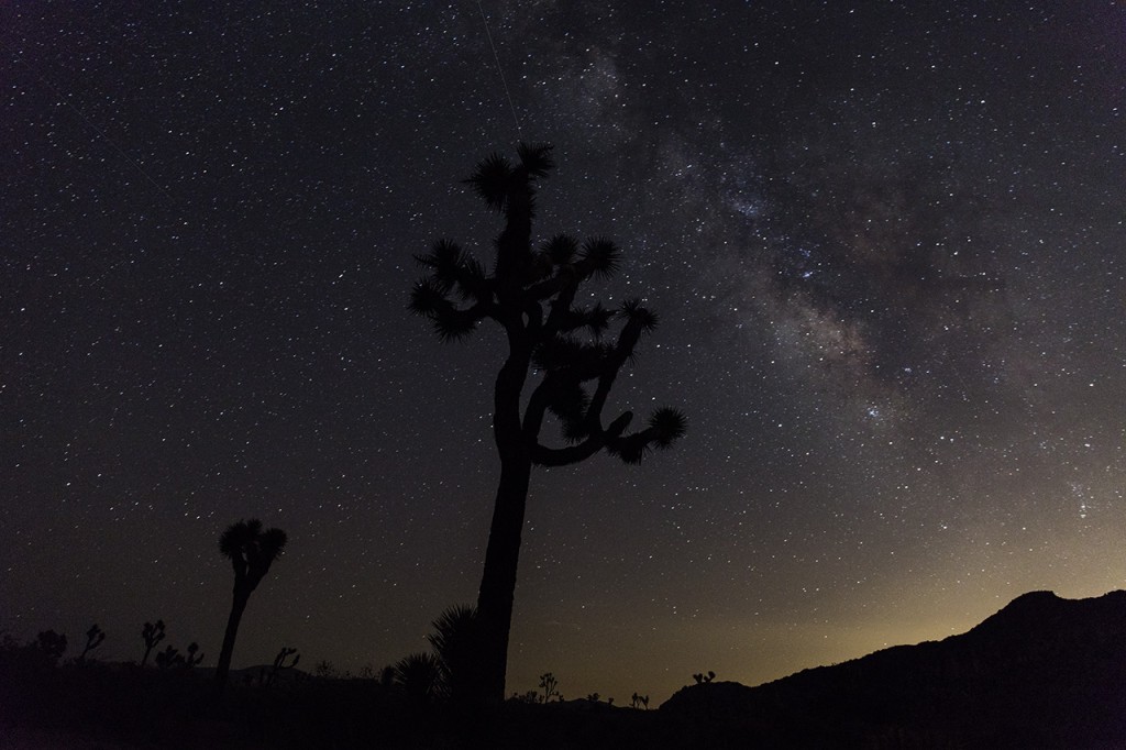 Milky Way above Joshua Tree National Park