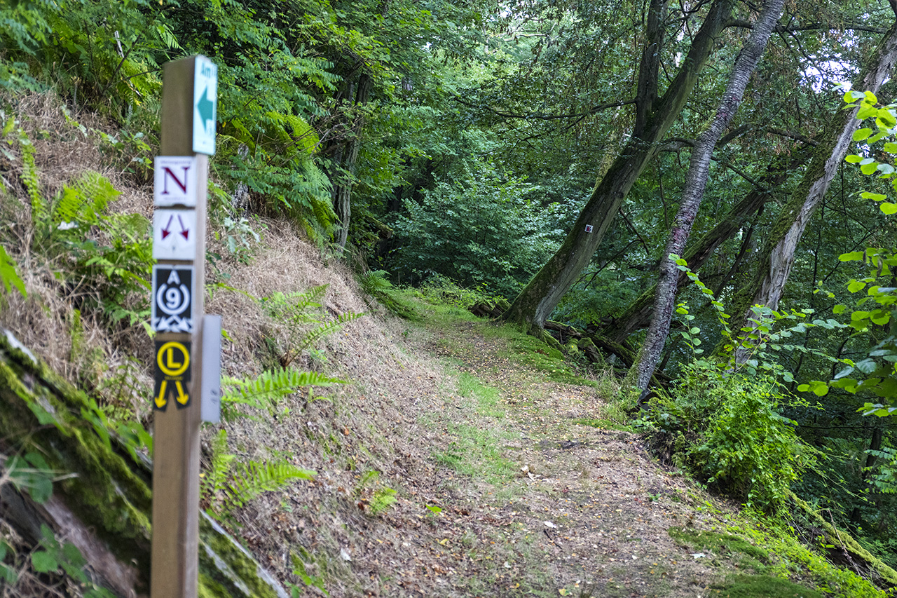 Amorbach Am1 Biketrail, Bavaria, Germany