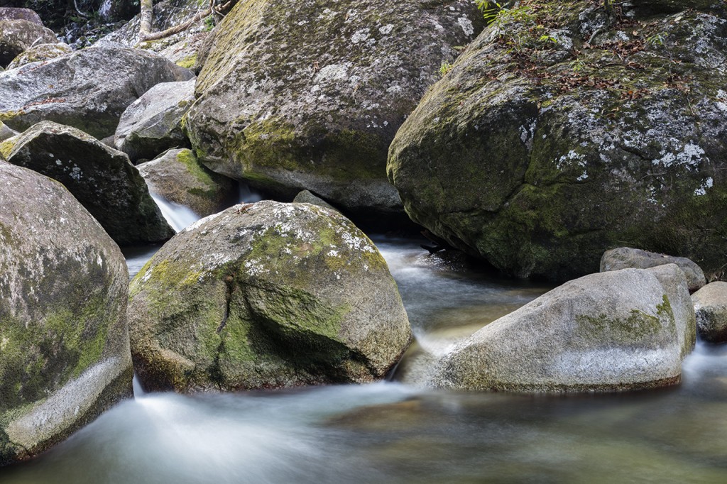 Mossman river and gorge, Daintree National Park, Queensland, Australia