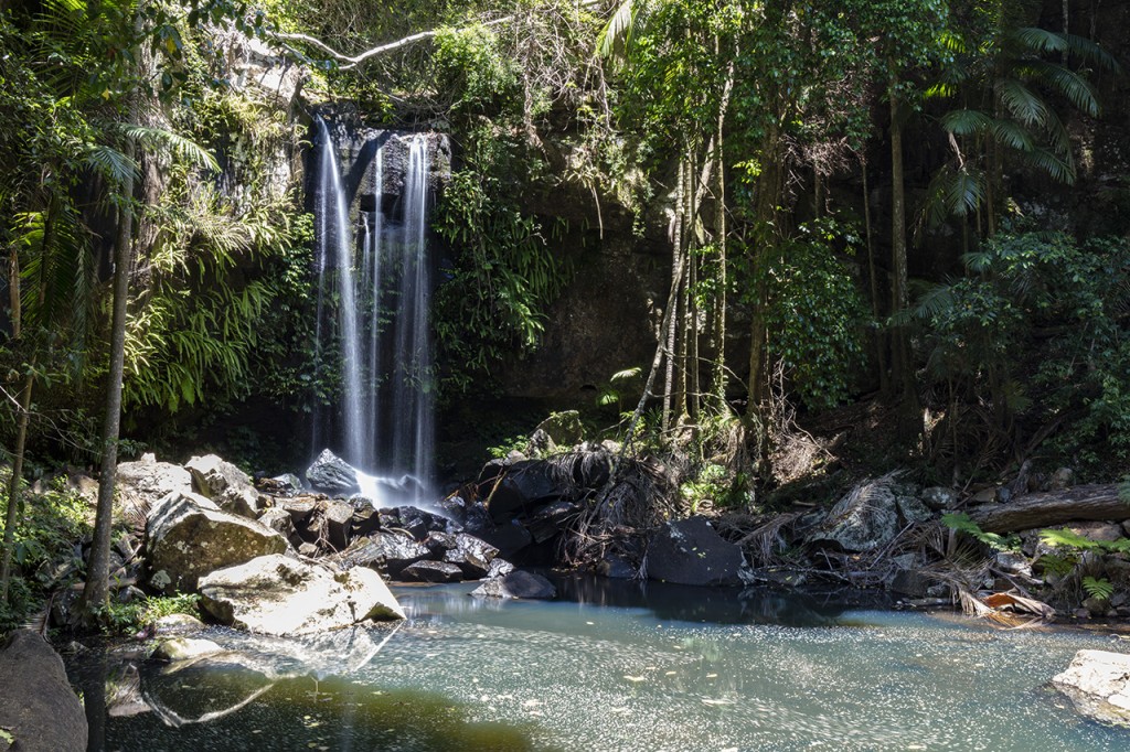 Curtis Falls, Joalah Section of Tamborine National Park, Queensland, Australia