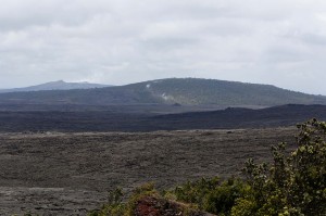 View towards Pu'u O'o and the "Steaming Forest"