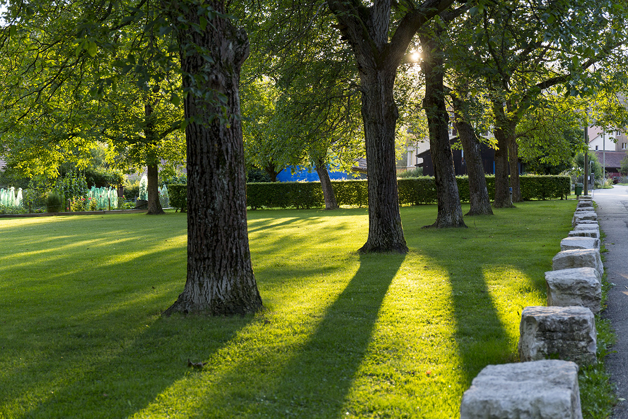 Trimbach park view before sunset, Solothurn, Switzerland