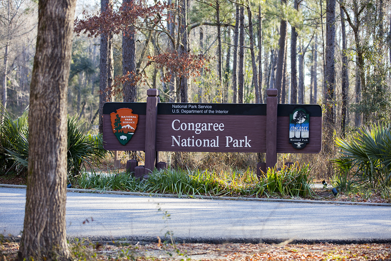 Congaree National Park, South Carolina, USA