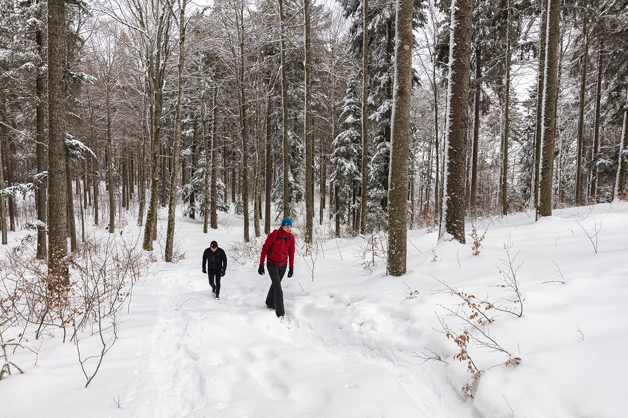 Winterwanderung, Grenchenberg, Kanton Solothurn, Schweiz