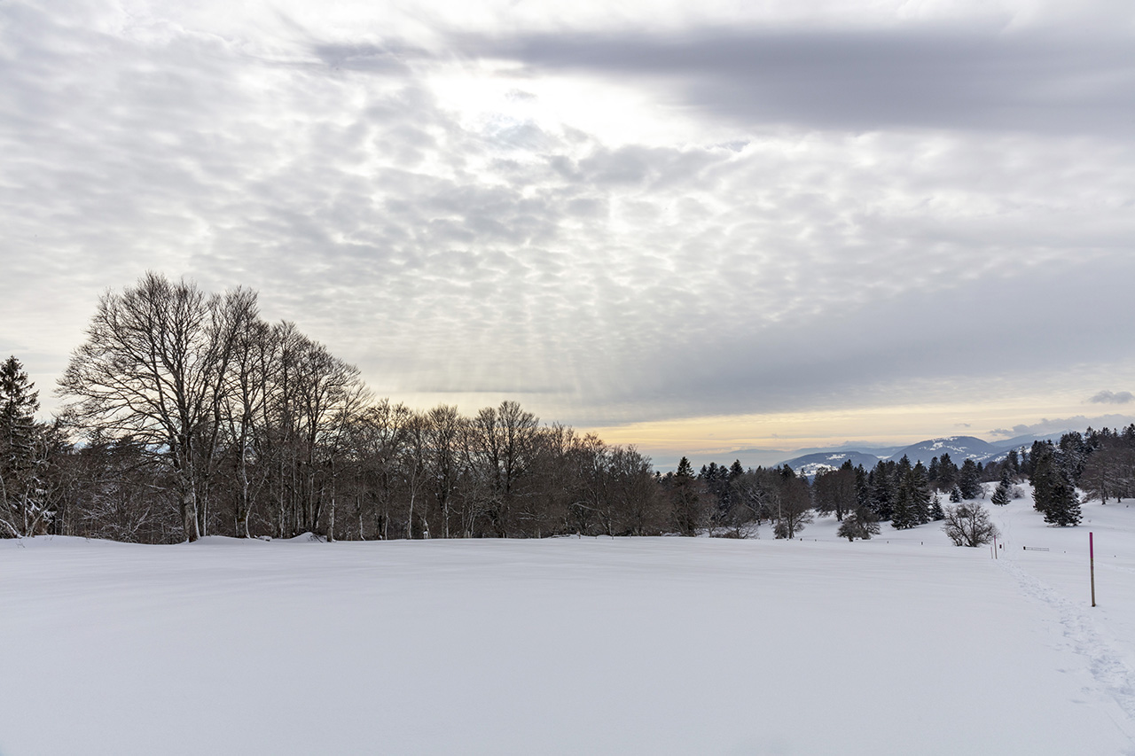 Aussicht über die erste Jurakette im Spätwinter, Romontberg, B