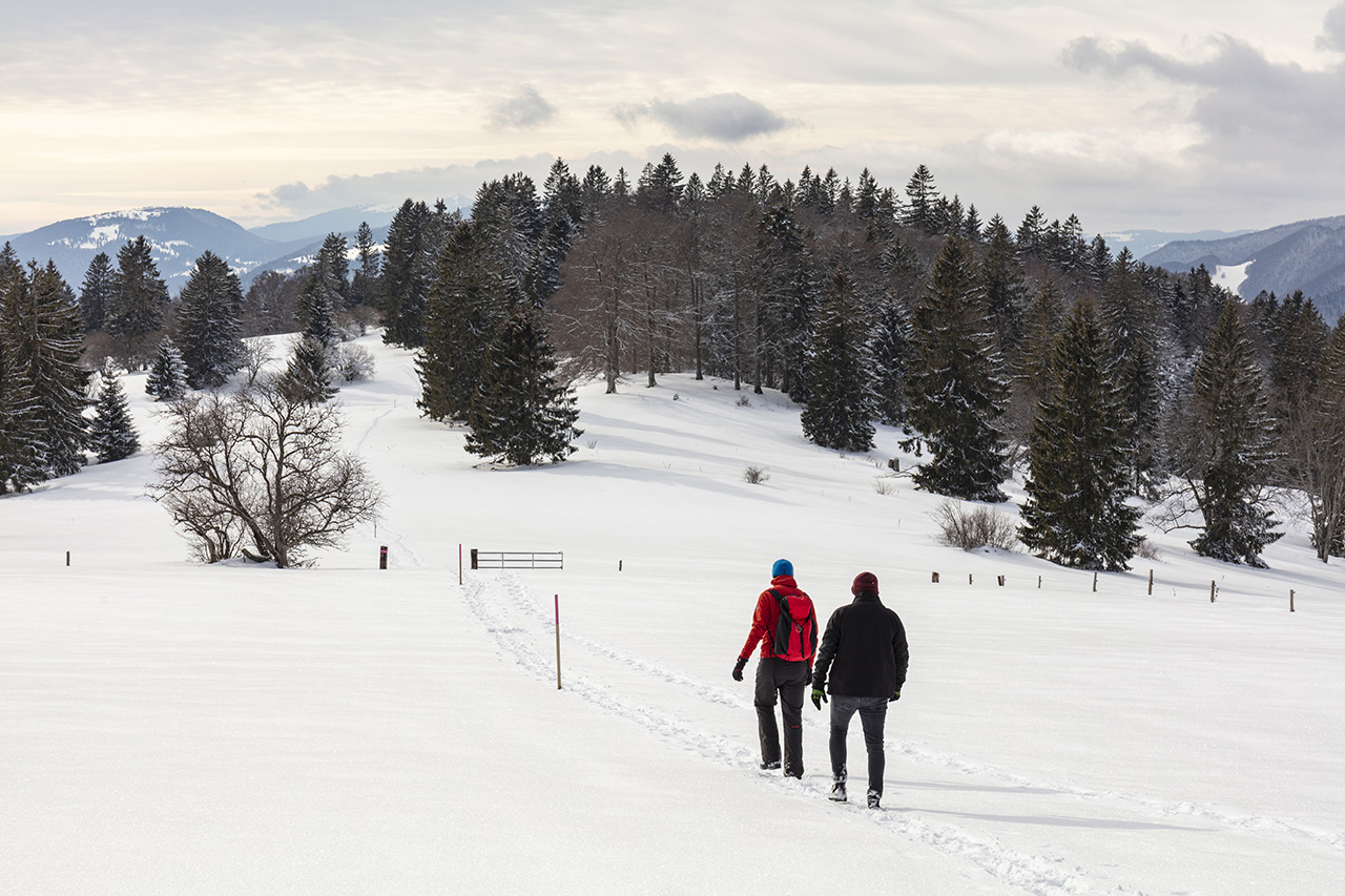 Winterwanderung, Grenchenberg, Kanton Solothurn, Schweiz