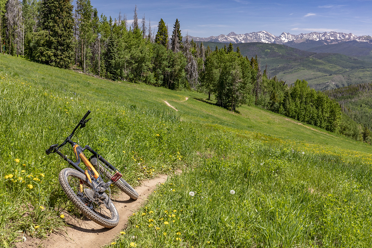 Bike Trail, Beaver Creek Mountain, Colorado, USA