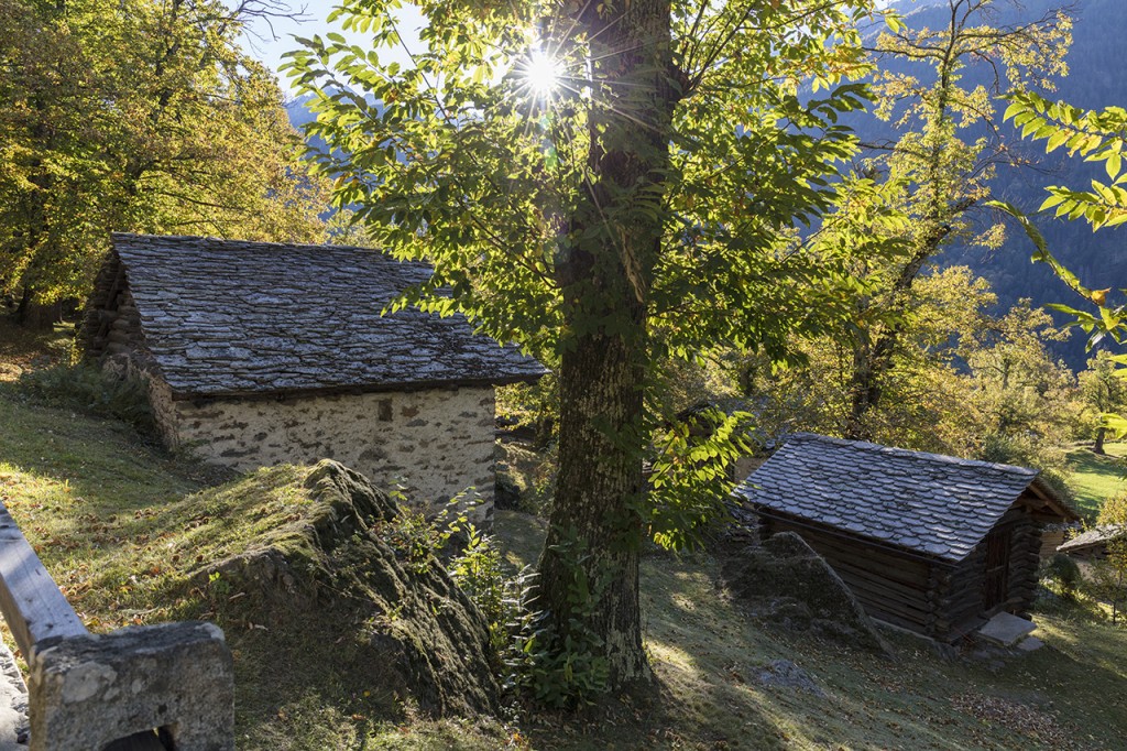 Casacce in the chestnut forest of Soglio, Val Bregaglia, Grisons, Switzerland