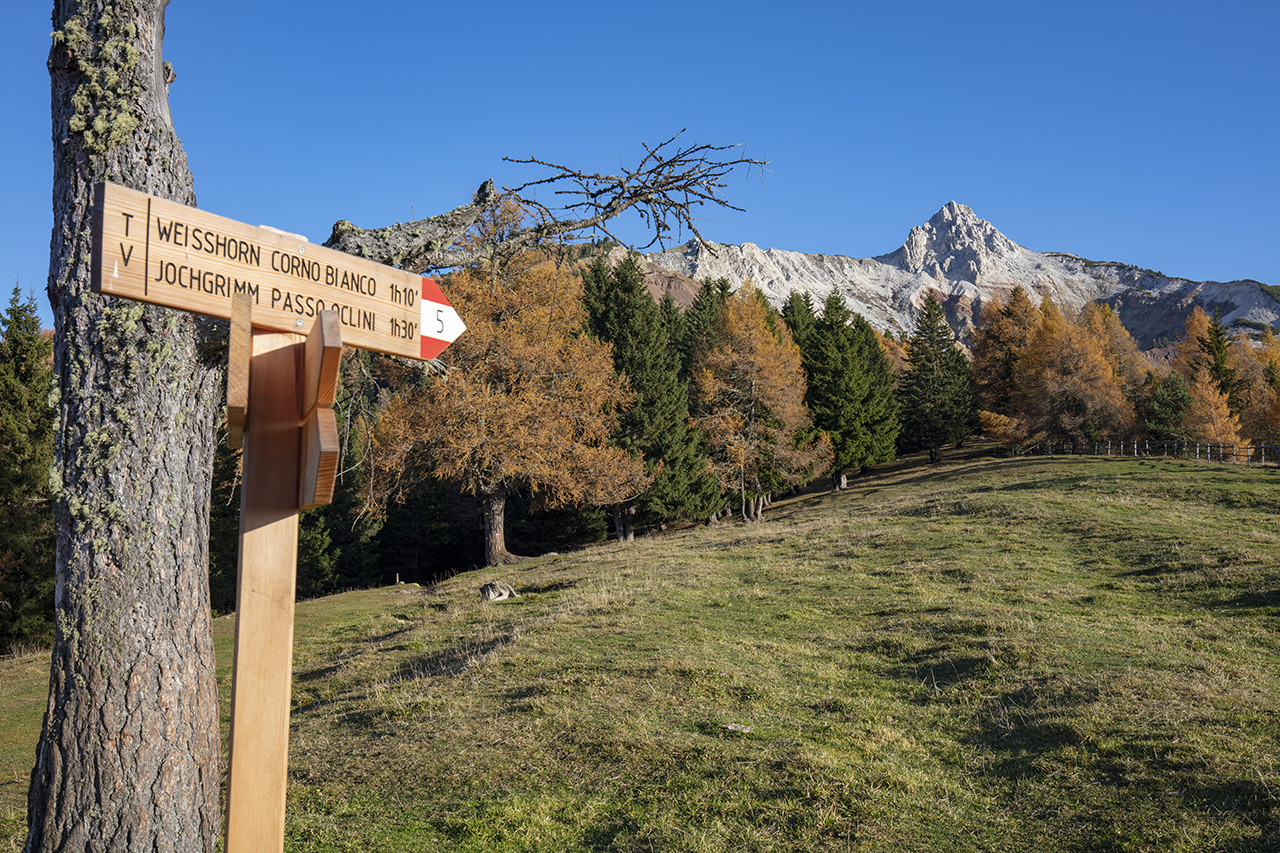 Wegweiser zum Weisshorn und zum Jochgrimmpass, Capanna Nuova, Deutschnofen, Südtirol, Italien