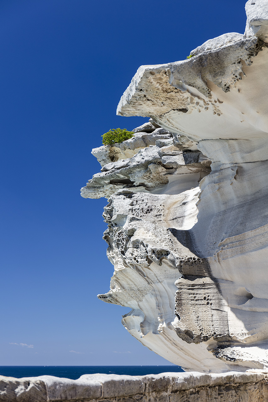 Tafoni and sediments, Bondi beach boardwalk, Sydney, Australia