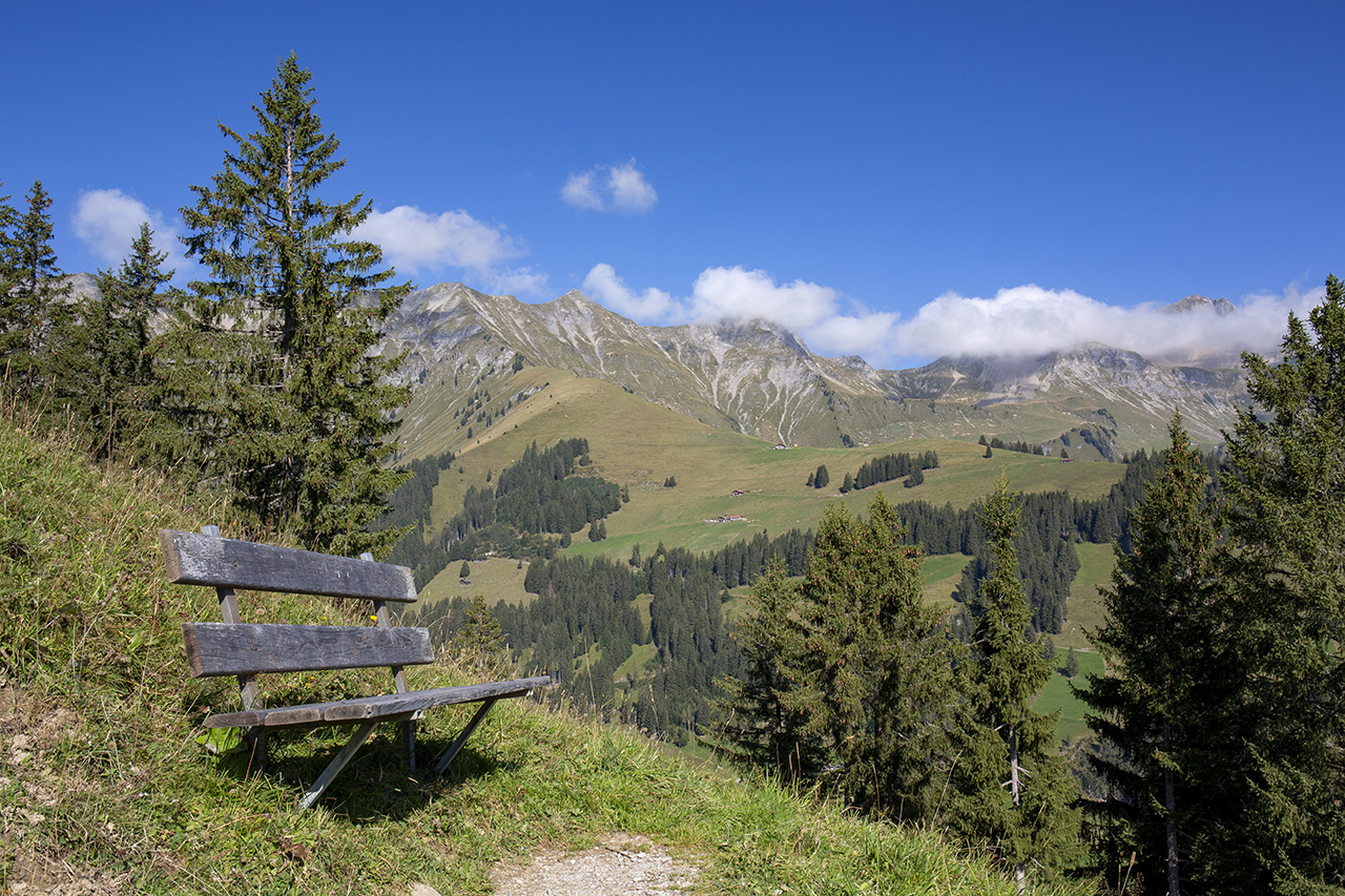 Holzbank an einem Wanderweg, dahinter der Gsür, Adelboden, Berner Oberland, Schweiz