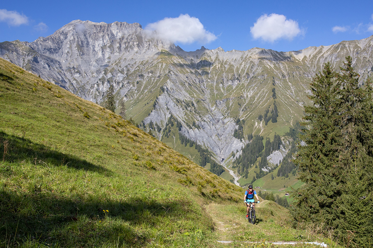 Mountainbiker auf einem Trail, dahinter der Gsür, Adelboden, Berner Oberland, Schweiz