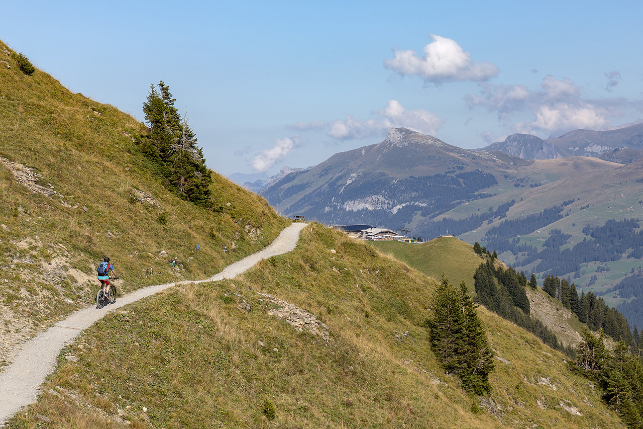 Mountainbiker auf einem Trail, Adelboden, Bern, Berner Oberland, Schweiz