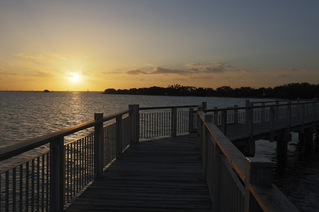Early morning on Mangrove Boardwalk, Biscayne National Park, Florida, USA