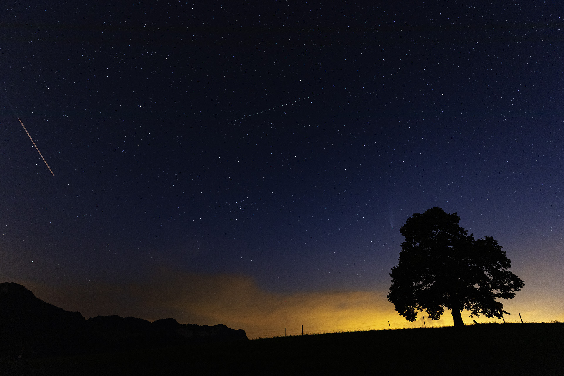 Comet C/2020 F3, Neowise, next to Linden tree silhouette, Challhöchi, Basel-Landschaft, Switzerland