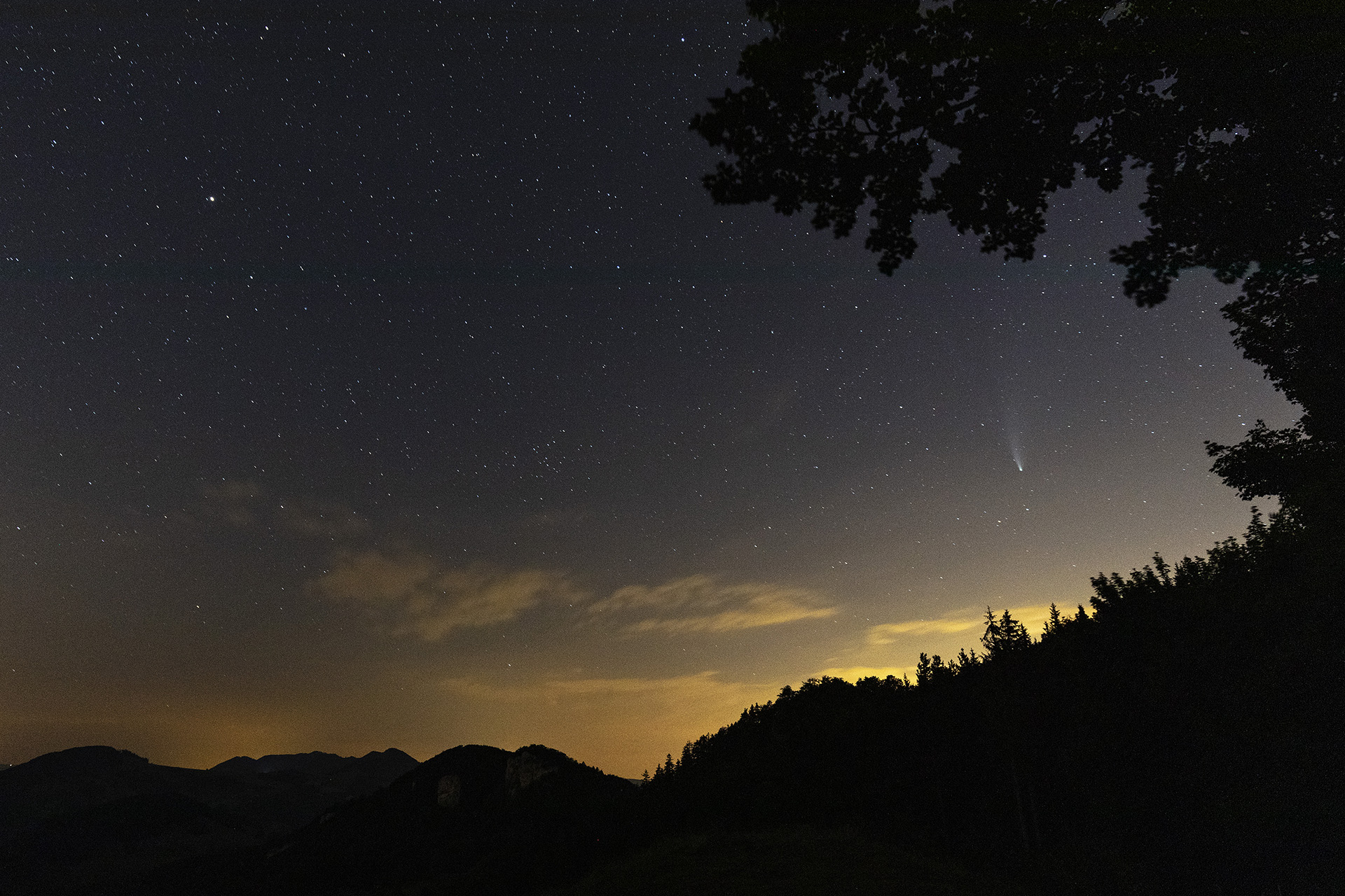 Comet C/2020 F3, Neowise, above Jura mountain forest night sky, Chilchzimmersattel, Basel-Landschaft, Switzerland