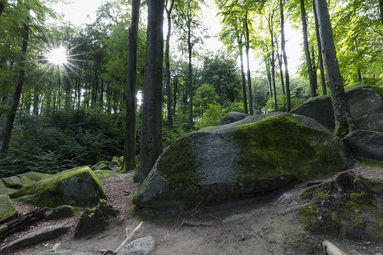 Felsenmeer, Naturpark Odenwald, Deutschland