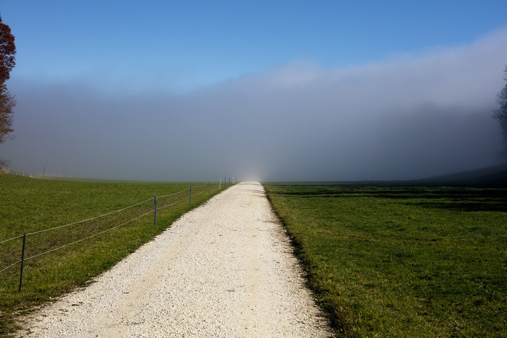 Balmberg in fog, Solothurn, Switzerland