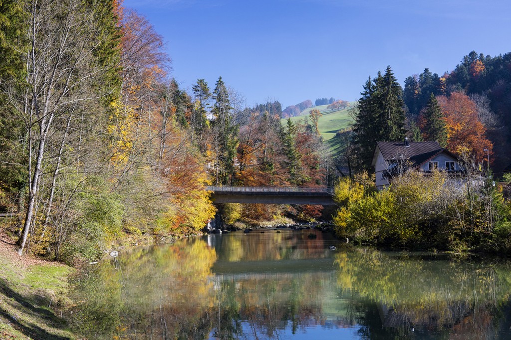 Fall colors along river Sihl, Säge Hütten, Zürich, Schweiz