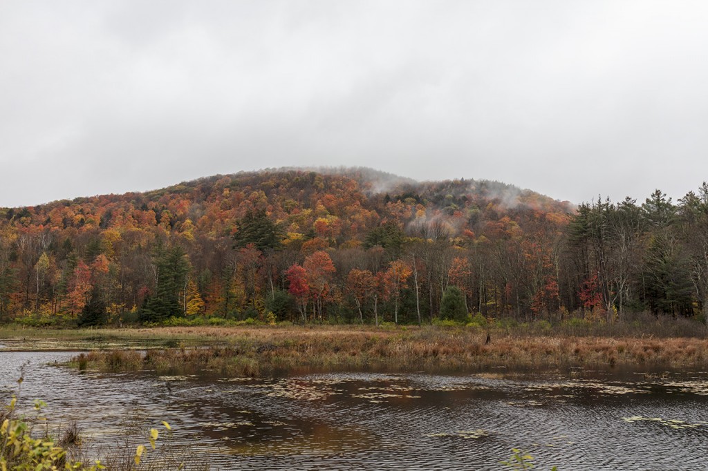 Pond near Lake George, New York, USA