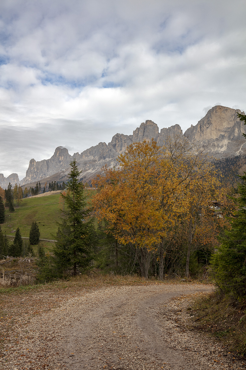 Herbstwald in den Dolomiten, Welschnofen, Südtirol, Italien