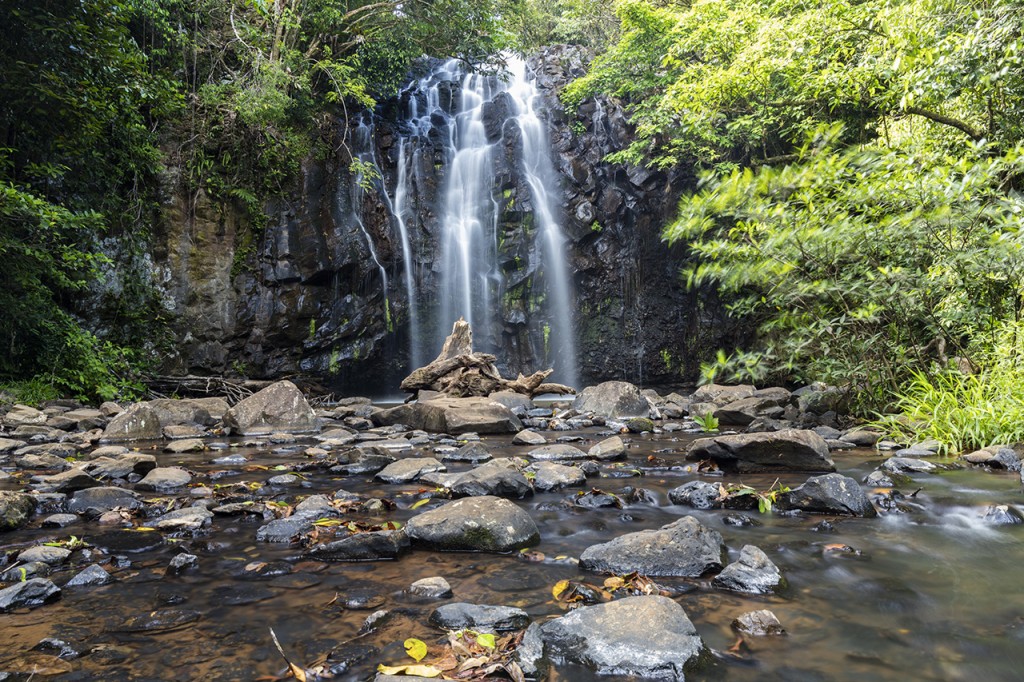 Elinjaa Falls, Waterfall Circuit, Atherton Tablelands, Queensland, Australia