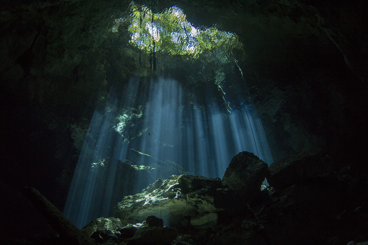 Lichteinfall von der Höhlendecke, Cenote Tajma Ha, Playa del Carmen, Quintana Roo, Mexico