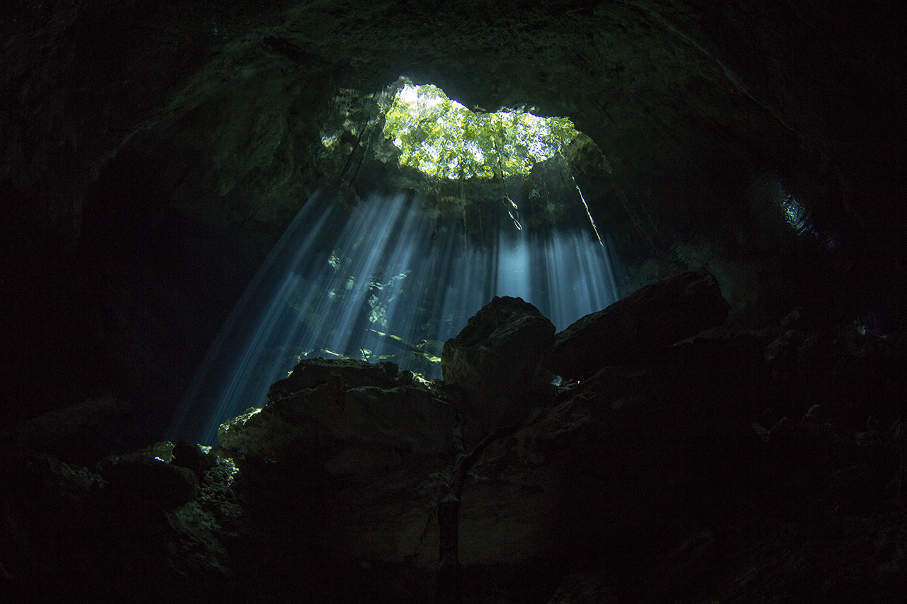 Lichteinfall von der Höhlendecke, Cenote Tajma Ha, Playa del Carmen, Quintana Roo, Mexico