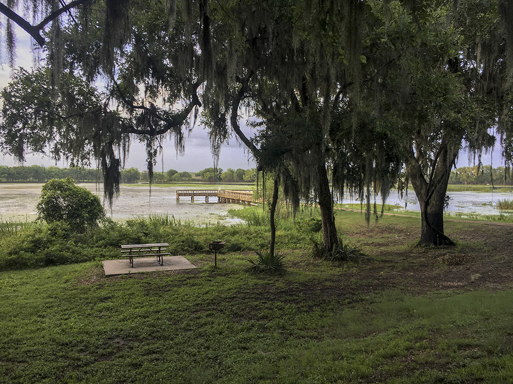 Brazos Bend State Park, Texas, USA