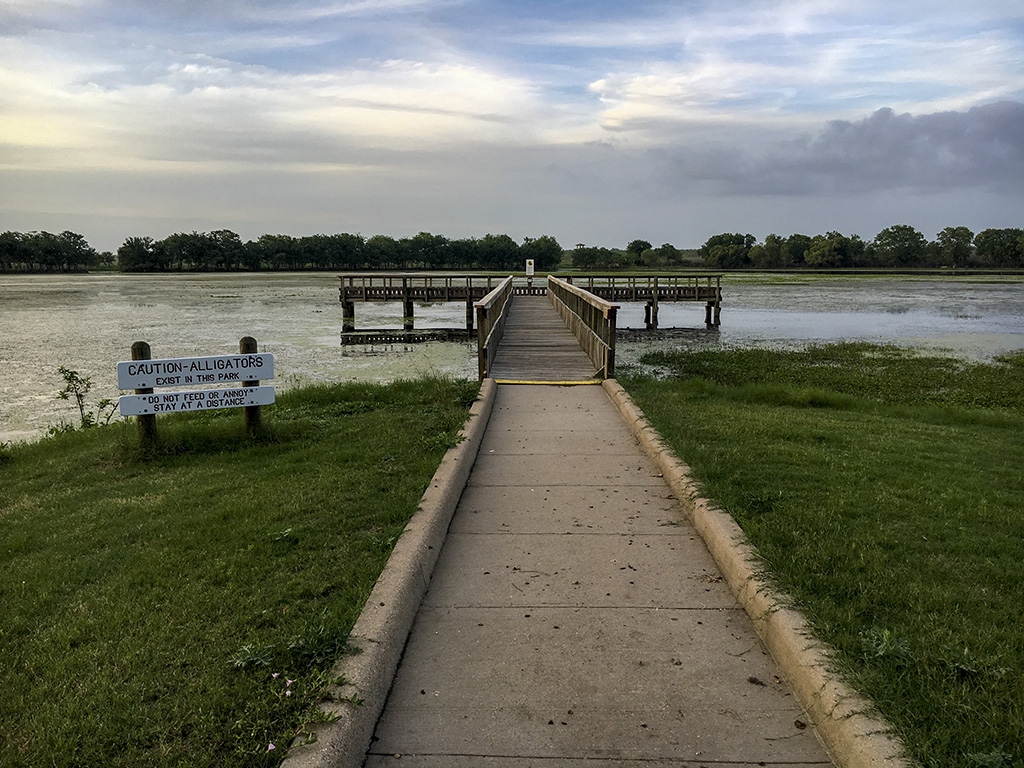 Brazos Bend State Park, Texas, USA