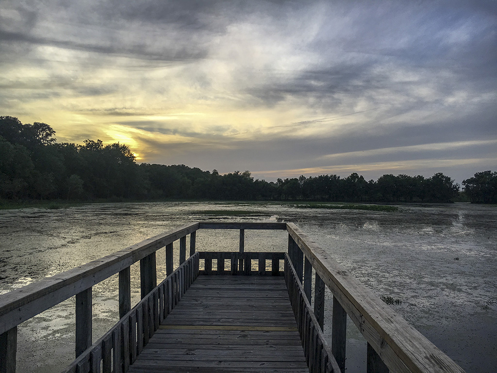 Lake view at sunset, Brazos Bend State Park, Texas, USA