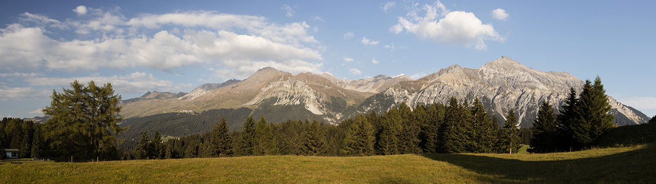 Alpenpanorama mit Parpaner Rothorn, Aroser Rothorn, Piz Naira, Lenzerhorn und Piz Linard, aufgenommen von einer Lichtung im Val Sporz, Lenzerheide, Graubünden, Schweiz