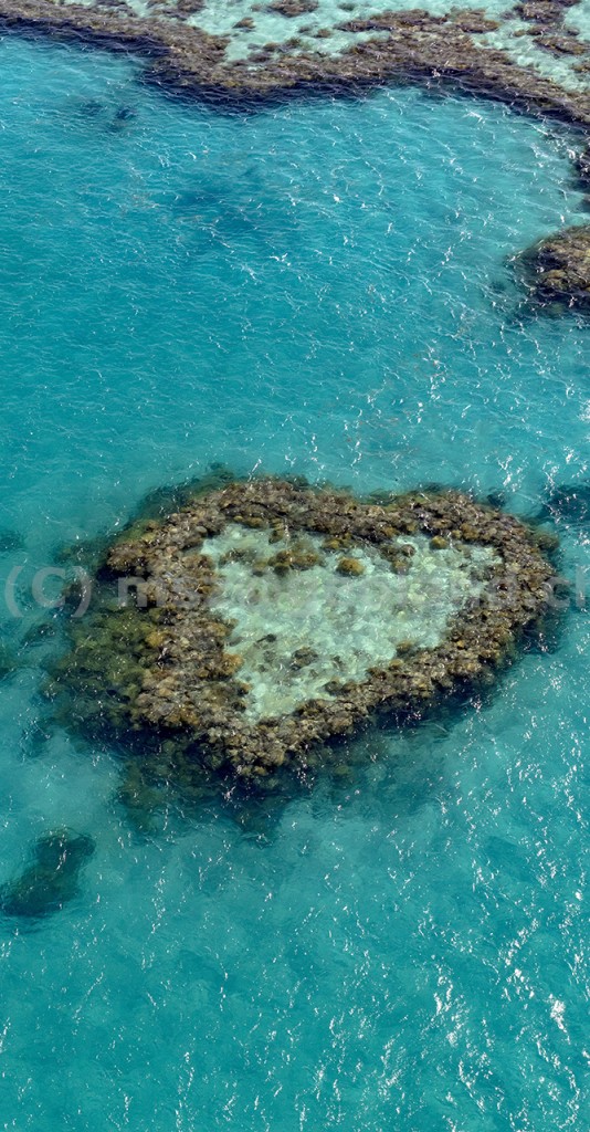 The Heart, a reef formation part of Hardy Reef, Great Barrier Reef, Airlie Beach, Queensland, Australia