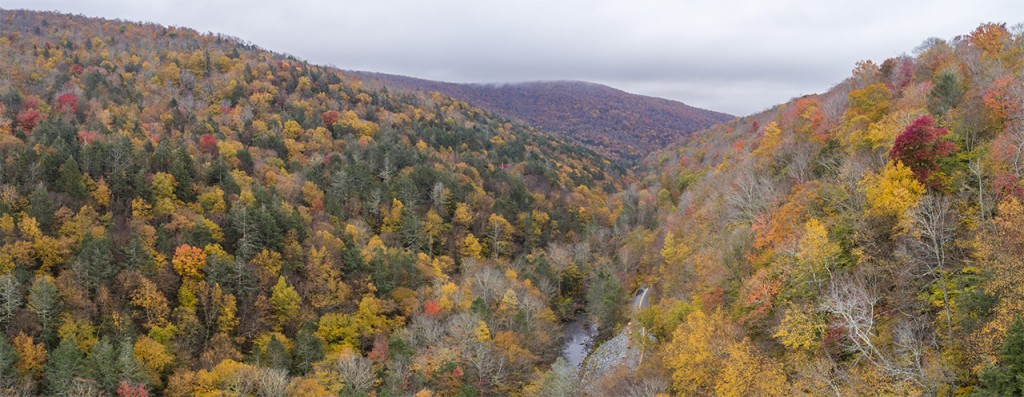 Aerial shot of fall foliage, Peekamoose Valley, Catskills, New York, USA